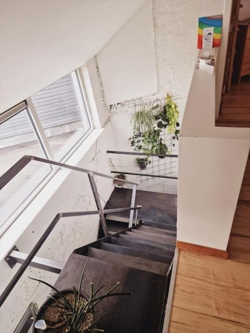 Lightful Architectural House Gent